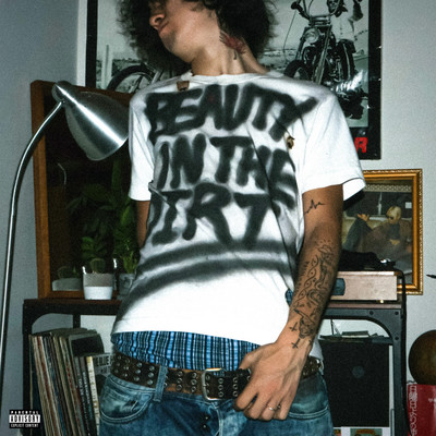 BEAUTY IN THE DIRT Front Cover
