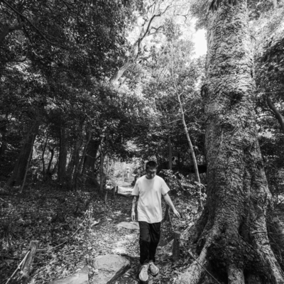 観賞魚のジャケット写真