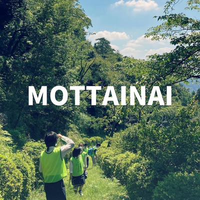 MOTTAINAIのジャケット写真