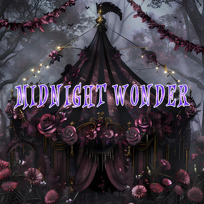 Midnight Wonder Front Cover