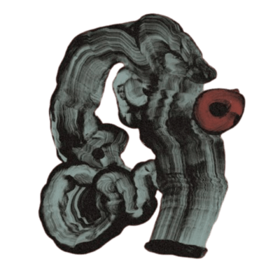 secessionのジャケット写真