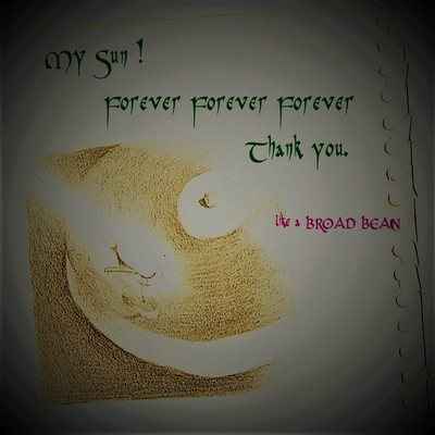 My Sun! Forever Forever Forever Thank you Front Cover