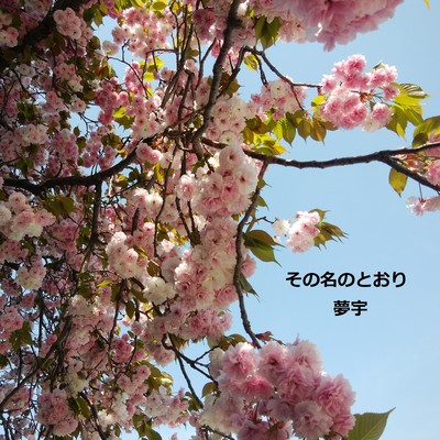 その名のとおりのジャケット写真