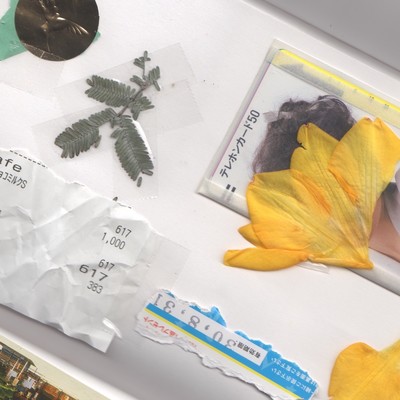 my summer memories Front Cover