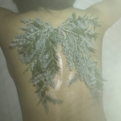 angelnumber Front Cover