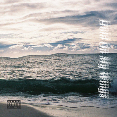 Hold On My Wings Front Cover