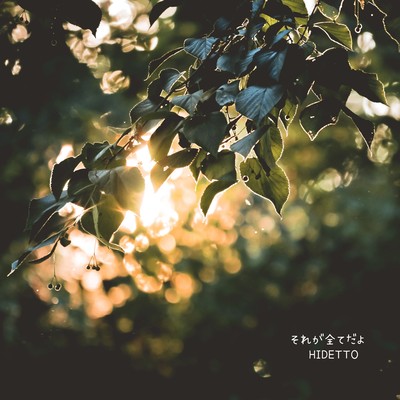 それが全てだよのジャケット写真