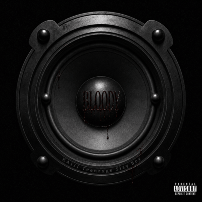 Speaker (feat. KAIJI, TeenRxge & Slay Boy) Front Cover