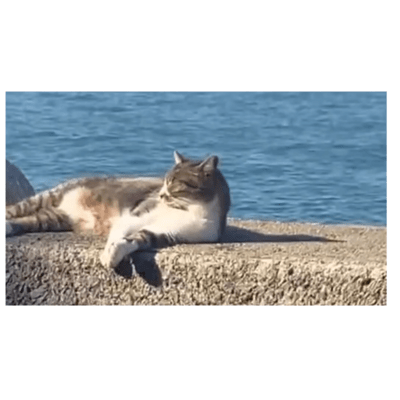 Harrington and Sin wave (feat. Kazehiki) Front Cover