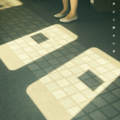 夢から醒めた夢のジャケット写真