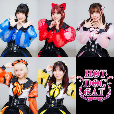 楕円形メリーゴーラウンド (2025 version)のジャケット写真