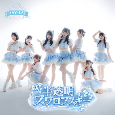 半透明スワロフスキーのジャケット写真