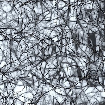 Go around Front Cover