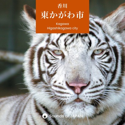 Higashikawgawa City -The Bonding between the Rich Nature and Animals- Front Cover