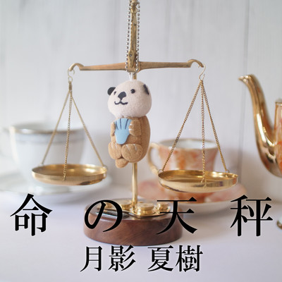 Balance of life Front Cover