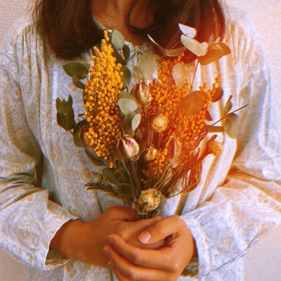 mimosa Front Cover