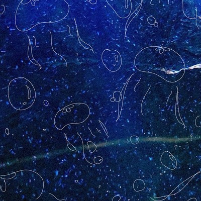 Jellyfish (Re-Recorded) Front Cover