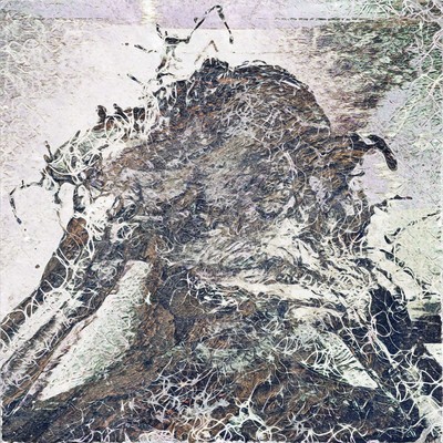 Vague Front Cover
