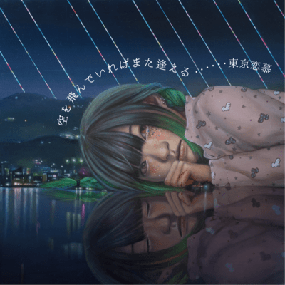 i see again if fly in the sky Front Cover