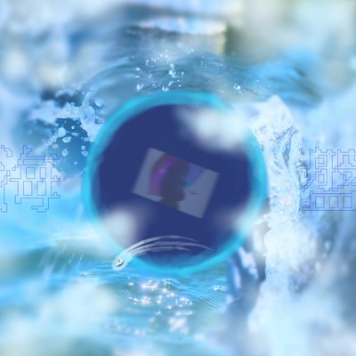 海盤のジャケット写真