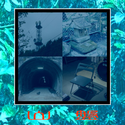 Disk of the mountain Front Cover