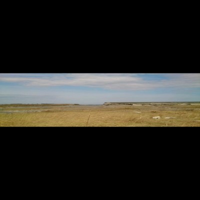 3月11日、空席のジャケット写真