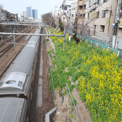 I'd rather write a song than post it on X~2025.3 Front Cover