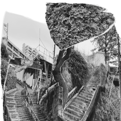 Disaster Prevention Song Front Cover