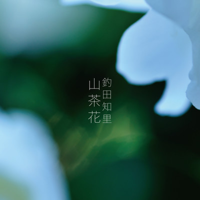 山茶花のジャケット写真