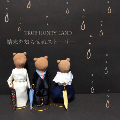 Story not to inform an ending Front Cover