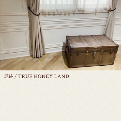 足跡のジャケット写真