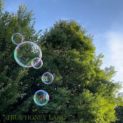 koinoutakata Front Cover