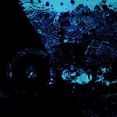 Ventriloquist Front Cover