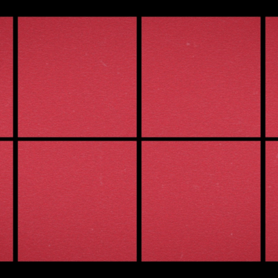 Predation Front Cover