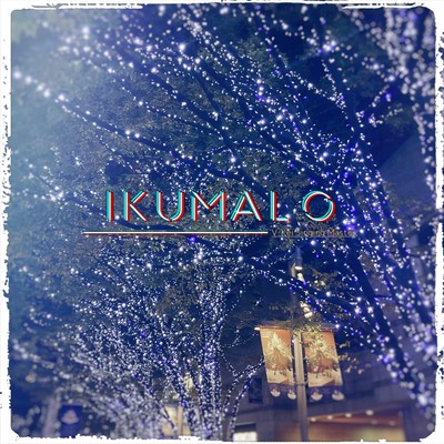 Artificial Flower Front Cover