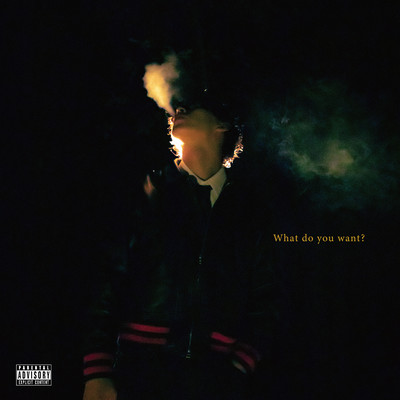 What do you want?のジャケット写真