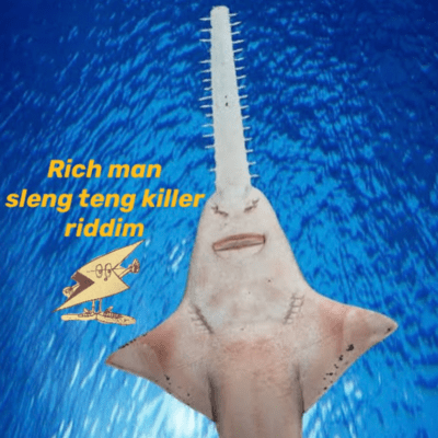 Rich man sleng teng killer riddim Front Cover