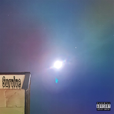 Survive (feat. DILL) Front Cover
