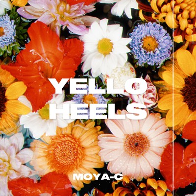 YELLO HEELS Front Cover