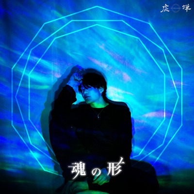 The shape of the soul Front Cover