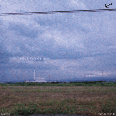 Bird swim in the rainy grass Front Cover