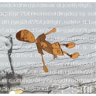 22smr-fin Front Cover