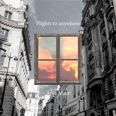 Flights to anywhere Front Cover