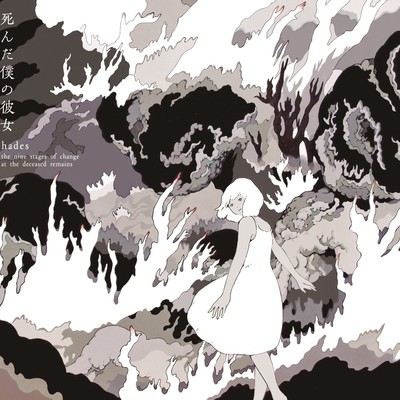 hades (the nine stages of change at the deceased remains) Front Cover