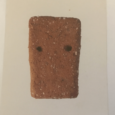 evacua Front Cover