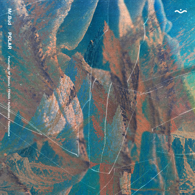 POLAR Front Cover