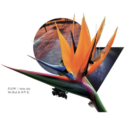 FLOW / rainy day Front Cover