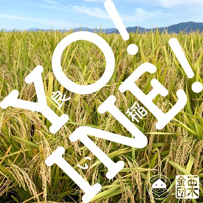 YO! INE!のジャケット写真