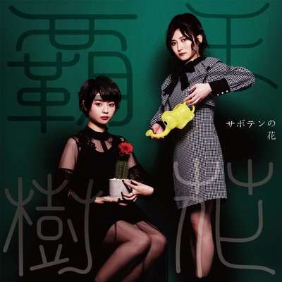 サボテンの花のジャケット写真