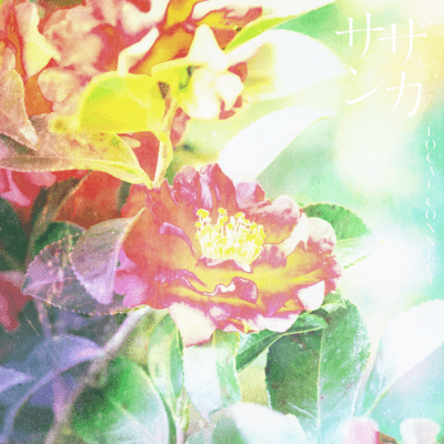 Sasanqua Front Cover